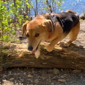 Meet your Posher, Katherine